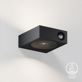 Luci Control Outdoor Wall Light